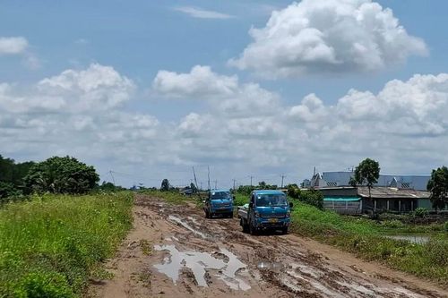 Cà Mau: Thi công đê biển Đông dang dở, người dân đi lại khó khăn