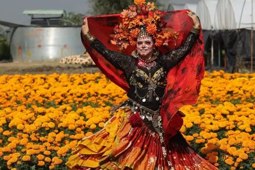 Mexico đón lượng du khách lớn dịp 'Ngày của người chết' độc đáo nhất nước này