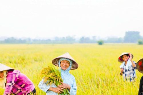 Những quyết sách chiến lược: 'Đòn bẩy' xóa nghèo bền vững