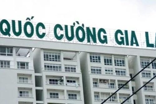 Lộ diện người cho công ty của Cường 'đô la' vay nghìn tỷ