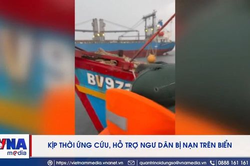 Cứu nạn kịp thời 11 thuyền viên trên 2 tàu cá gặp nạn ở vùng biển Vũng Tàu