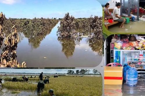 Khi mùa nước nổi không còn là 'mùa lộc trời'