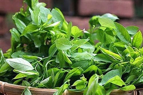 Loại rau có lượng sắt gấp 7 lần thịt bò nhưng giá lại 'siêu rẻ'