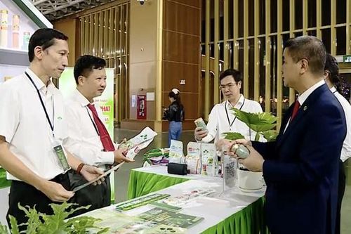 Cầu nối chiến lược cho hàng Việt