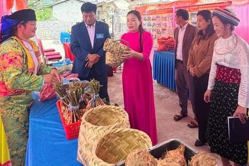 Cần tăng cường đào tạo kỹ năng số cơ bản cho người dân vùng khó