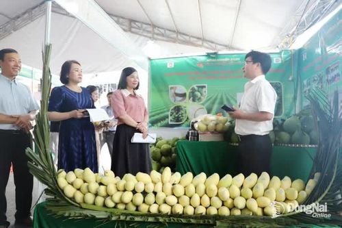 Quảng bá trái cây đặc sản Đồng Nai