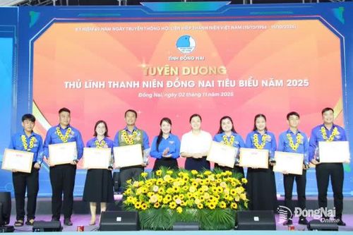 Tuyên dương 22 gia đình trẻ, 30 thủ lĩnh thanh niên tiêu biểu tỉnh Đồng Nai năm 2025