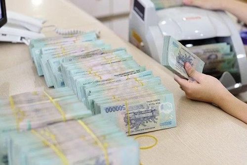 Toàn tỉnh có 53 chi nhánh tổ chức tín dụng