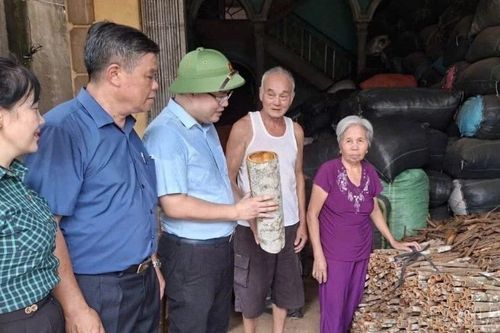 Chấn Thịnh đẩy mạnh phát triển nông nghiệp hàng hóa bền vững
