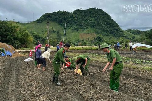 Công an xã Văn Bàn hỗ trợ khoai tây giống cho người dân bị ảnh hưởng bởi mưa bão