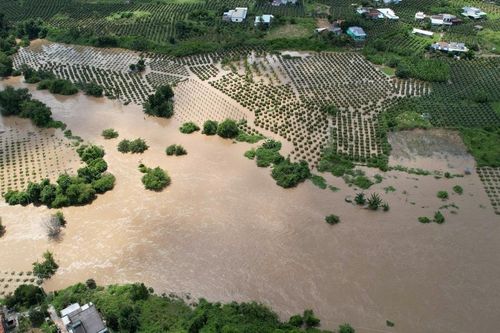 Đợt mưa lũ tại khu vực Đông Nam tỉnh Lâm Đồng nghiêm trọng nhất trong hơn 3 thập kỷ