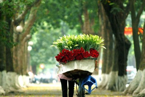 Hà Nội tháng 12: Cẩm nang trải nghiệm mùa đông đặc trưng