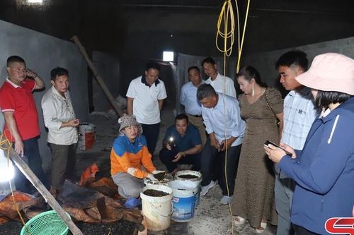 Nông nghiệp tuần hoàn - hướng phát triển bền vững