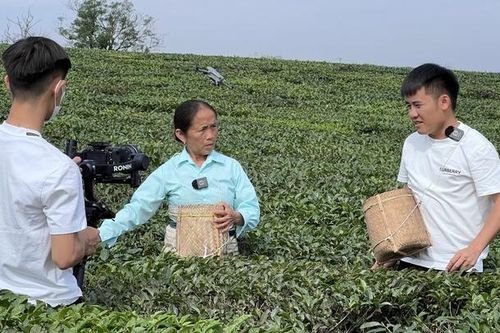 Quảng bá du lịch thời công nghệ số
