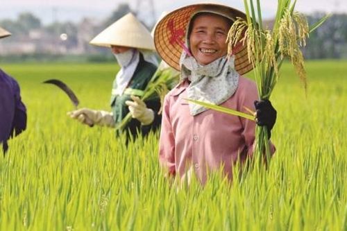 Đối thoại để đồng hành cùng nông dân bước vào kỷ nguyên mới
