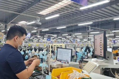 Khuyến công Vĩnh Long: Đa dạng hoạt động, hướng tới hiệu quả thực chất