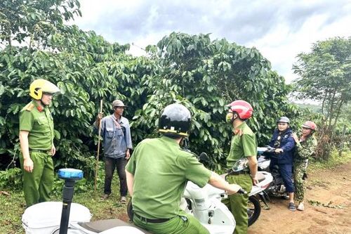 Bảo đảm an ninh cho mùa cà phê bội thu
