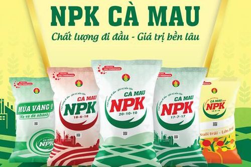 Đạm Cà Mau (DCM) báo lãi quý III/2025 tăng 2,7 lần cùng kỳ