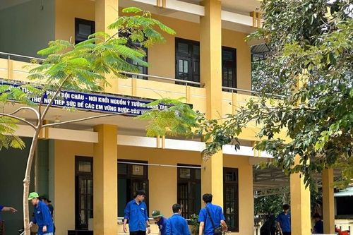 Sinh viên Đà Nẵng ra quân hỗ trợ các địa phương khắc phục hậu quả sau mưa lũ