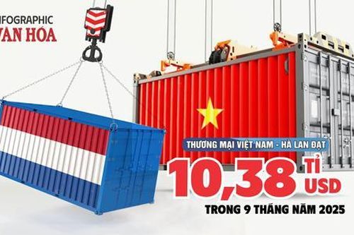 (Infographic) Xuất siêu 'khủng' 9,2 tỉ USD sang Hà Lan: Hàng Việt bứt tốc tại châu Âu