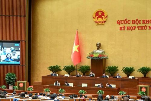 Tuần làm việc thứ 3, Kỳ họp thứ 10: Quốc hội tập trung cho công tác lập pháp