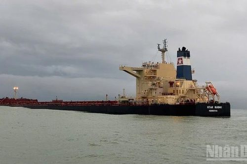 Quảng Ngãi: Đề nghị chuyển hơn 2.000m³ dầu FO ra khỏi tàu Star Bueno