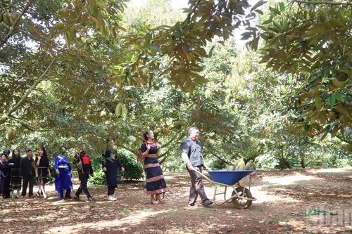 Cần làm rõ trách nhiệm và bài học về kiểm nghiệm sầu riêng xuất khẩu