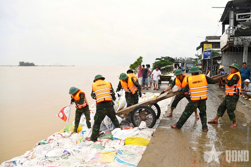 Bộ CHQS TP Đà Nẵng triển khai các biện pháp ứng phó bão số 13