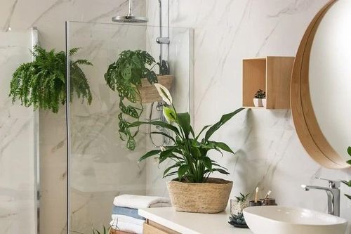 4 vị trí trong nhà không nên đặt cây cảnh