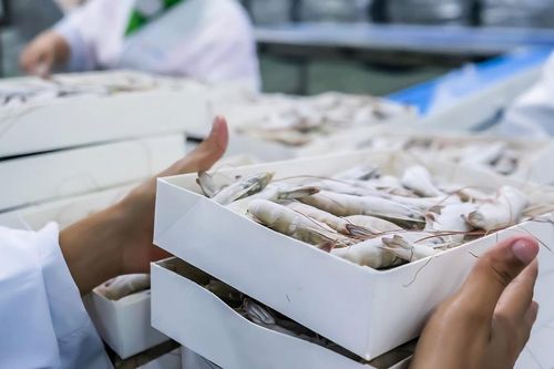Đột phá công nghệ chế biến, bảo quản: Đòn bẩy giúp nông sản Việt 'tăng tốc' đến chuỗi giá trị bền vững