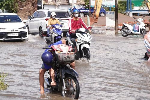 Cà Mau vận hành hơn 300 cống, đập ứng phó triều cường có thể vượt báo động 3