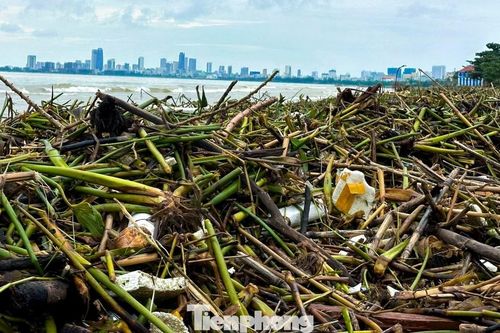 Hàng tấn rác thải phủ kín bờ biển Đà Nẵng sau mưa lũ
