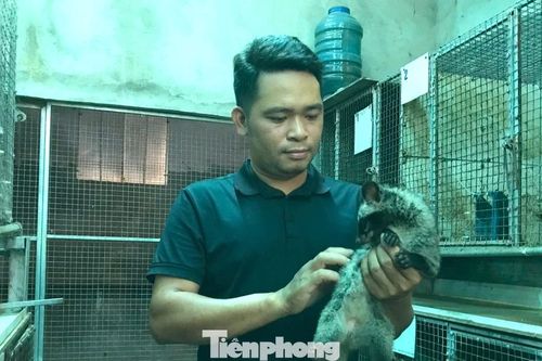 Chàng trai kiếm tiền tỉ mỗi năm nhờ loài 'ăn đêm, đẻ khỏe'