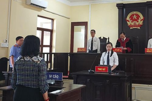 Nữ đại gia miền Tây lĩnh án vì hủy hoại tài sản hơn 35 triệu đồng