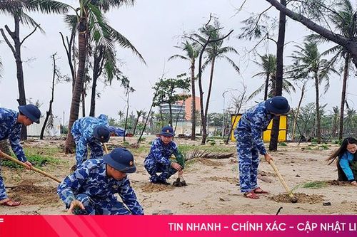 Trồng 10.000 cây phi lao chống sạt lở bờ biển Khu du lịch Xuân Thành