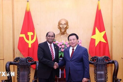Việt Nam tăng cường hợp tác đào tạo, bồi dưỡng cán bộ với Singapore và Ireland