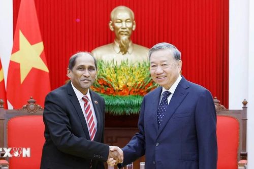 Tổng Bí thư Tô Lâm tiếp Đại sứ Singapore Jaya Ratnam