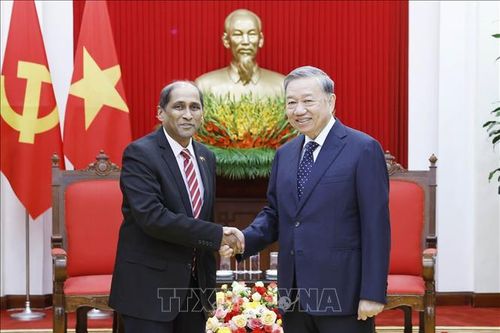 Tổng Bí thư Tô Lâm tiếp Đại sứ Singapore đến chào từ biệt