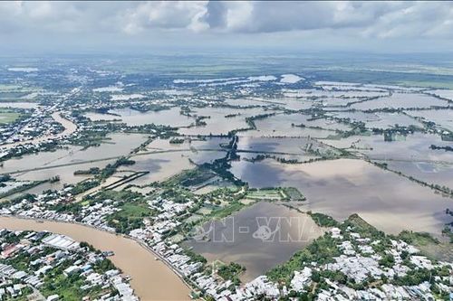 Dự báo vùng hạ lưu sông Hậu tại An Giang đỉnh triều trên báo động 3