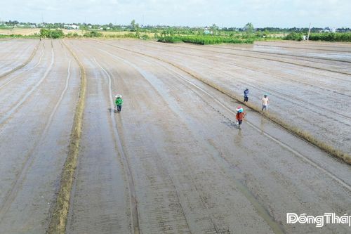 BÀI 1: Nông nghiệp khẳng định vai trò trụ đỡ