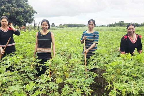 Phụ nữ vùng cao sẻ chia, giúp nhau ổn định cuộc sống