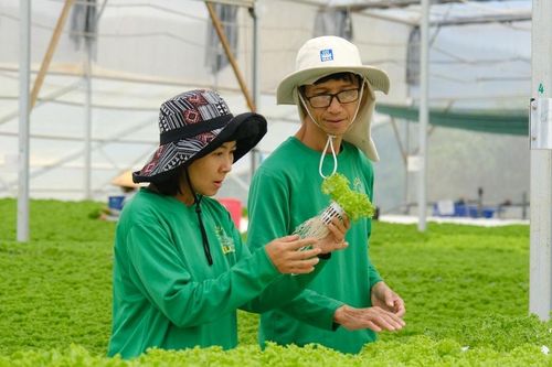 Từng bước nâng cao chất lượng cuộc sống cho nông dân