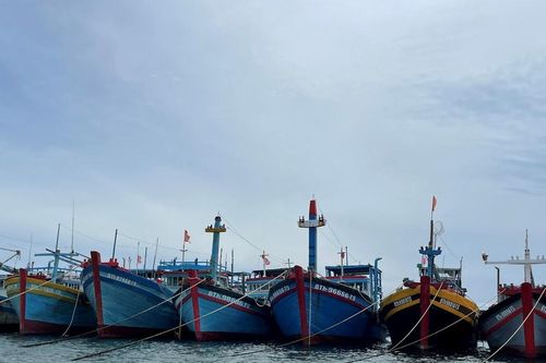 Một thuyền viên bị rơi xuống biển tử vong ở vùng biển Phú Quý