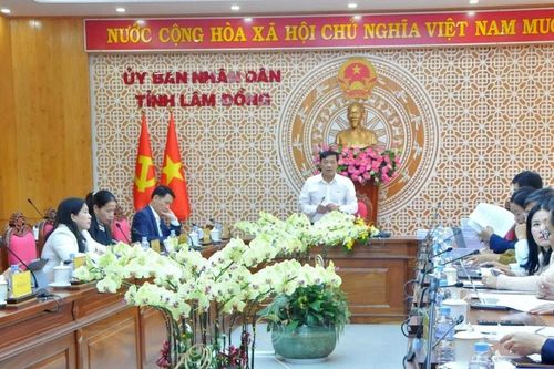 Lâm Đồng rà soát, thẩm định bảng giá đất sát thực tế