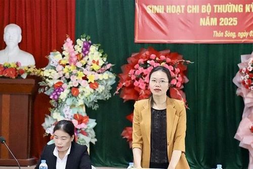 Phó Bí thư Tỉnh ủy Bùi Thị Minh dự sinh hoạt chi bộ tại xã Liên Sơn