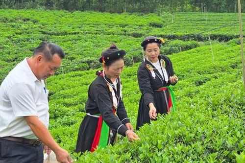 Thái Nguyên: Xã Vô Tranh hướng tới nông thôn mới hiện đại, bền vững và giàu bản sắc