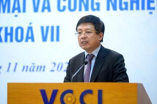 Tân Chủ tịch VCCI là ai?