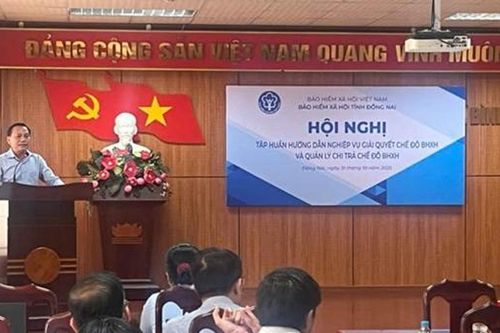 BHXH Đồng Nai: Tập huấn nghiệp vụ giải quyết chế độ BHXH