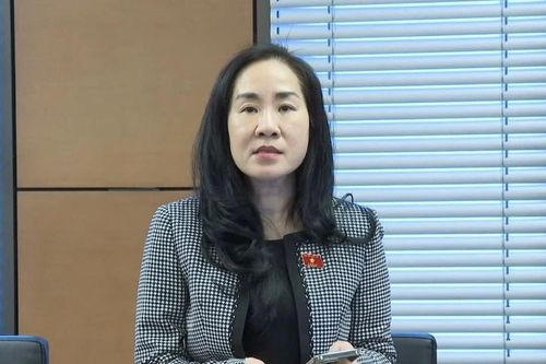 Xem xét mở rộng thí điểm, thử nghiệm các mô hình thương mại điện tử mới