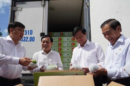 Giảm chi phí tiêu thụ nhờ HTX làm chủ khâu logistics
